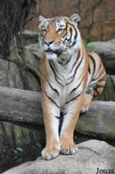 Zoo Melaka