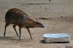Zoo Melaka