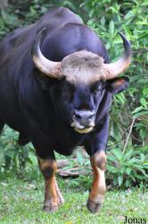 Zoo Melaka