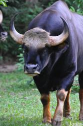 Zoo Melaka