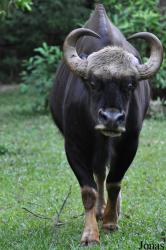 Zoo Melaka