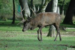 Parc Animalier de Sainte-Croix