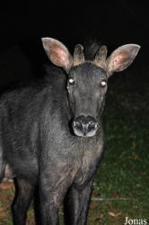 Zoo Melaka