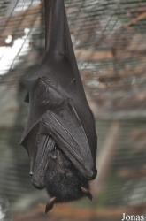 Zoo Melaka