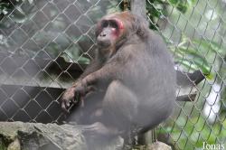Zoo Melaka