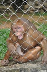 Zoo Melaka