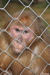 Zoo Melaka