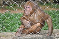 Zoo Melaka