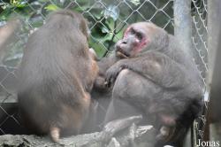 Zoo Melaka