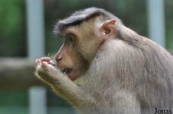 Zoo Melaka