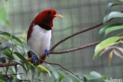 Zoo Melaka