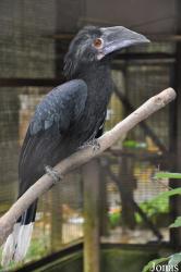 Zoo Melaka
