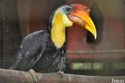 Zoo Melaka
