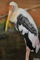 Zoo Melaka