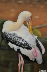 Zoo Melaka