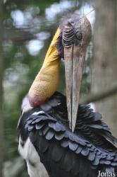 Zoo Melaka