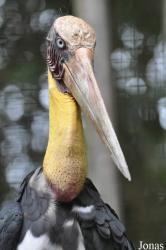 Zoo Melaka