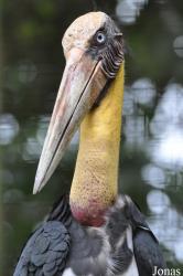 Zoo Melaka