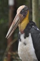 Zoo Melaka