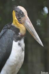 Zoo Melaka
