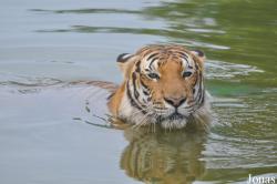 A'Famosa Animal World Safari