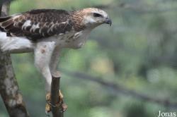 A'Famosa Animal World Safari