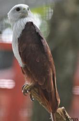 A'Famosa Animal World Safari