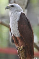 A'Famosa Animal World Safari