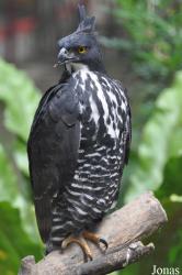 A'Famosa Animal World Safari