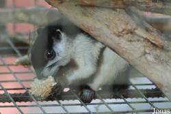 A'Famosa Animal World Safari