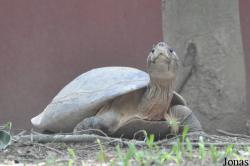 A'Famosa Animal World Safari