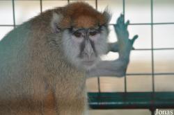 A'Famosa Animal World Safari