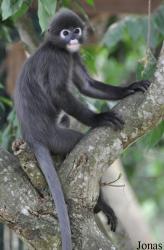 A'Famosa Animal World Safari