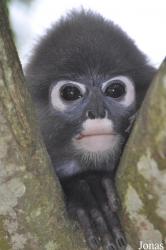 A'Famosa Animal World Safari