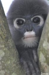 A'Famosa Animal World Safari