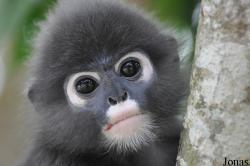 A'Famosa Animal World Safari