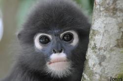 A'Famosa Animal World Safari