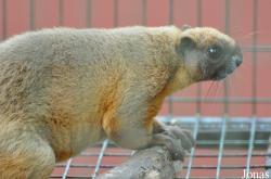 A'Famosa Animal World Safari