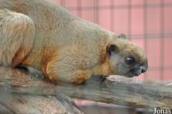 A'Famosa Animal World Safari