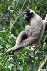 Zoo Melaka
