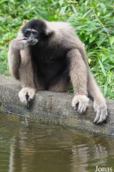 Zoo Melaka