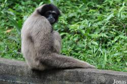 Zoo Melaka