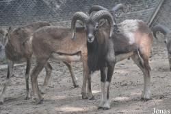 A'Famosa Animal World Safari