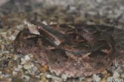 Taman Rama-Rama & Reptilia Melaka