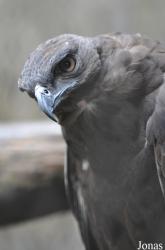 Zoo Negeri Johor