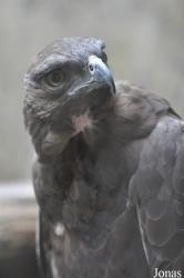 Zoo Negeri Johor