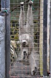 Zoo Negeri Johor