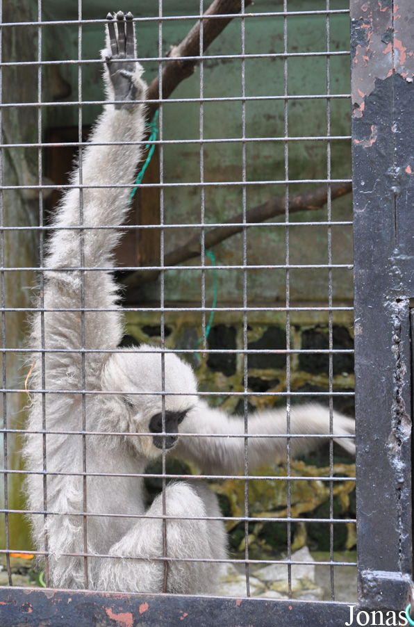Zoo Negeri Johor