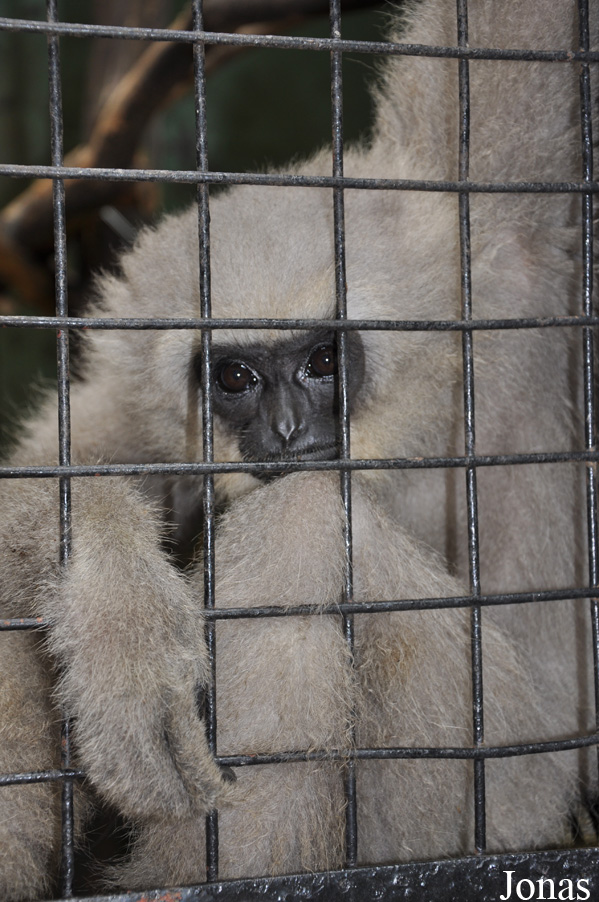 Zoo Negeri Johor
