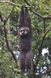 Zoo Taiping & Night Safari